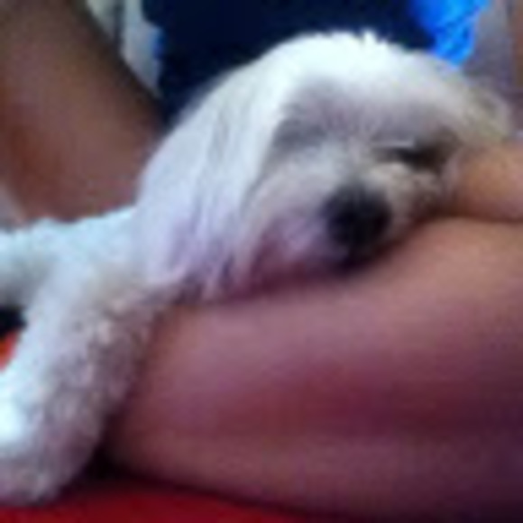 Meet your Posher, Edanili - Picture 1 of 1